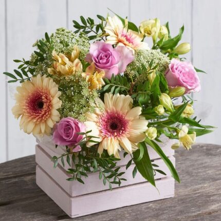 Box de Gerberas y Astromelias