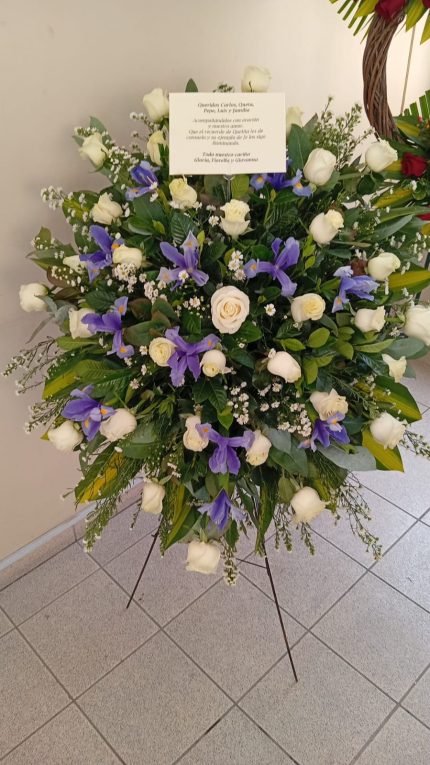 LÁGRIMA DE PARANTE IRIS
