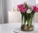 como-cuidar-tulipanes-en-agua-400x266.jpg
